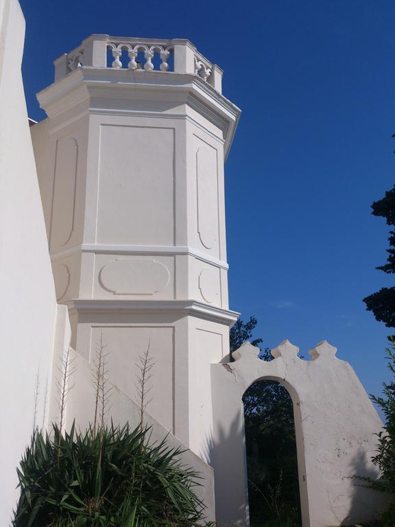 Villa-Chateau Les Terrasses - Tamaris, Plage Des Sablettes, Mer Au Bas De La Propriete La Seyne-sur-Mer Exterior photo